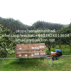 China wholesale Mountain orchard monorail transporter for transporting fruit crops and fertilizers supplier