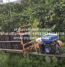 China agricultural steep slope monorail rail transporter online supplier