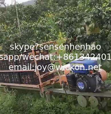 China agricultural steep slope monorail rail transporter online supplier