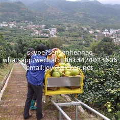 China Farm engineering transporter Agricultural Loading Climbing Track Transporter supplier