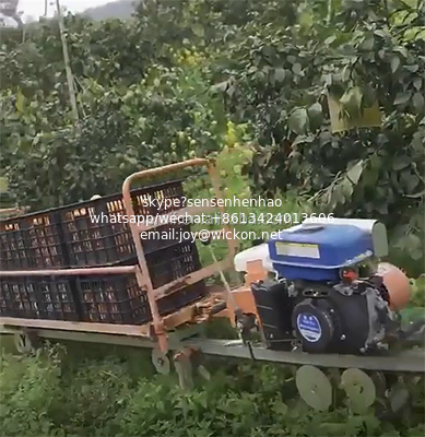 Mountain monorail gasoline transport vehicle Tea Garden Monorail truck supplier