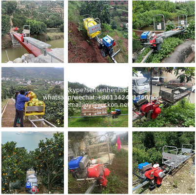 Mountain monorail gasoline transport vehicle Tea Garden Monorail truck supplier