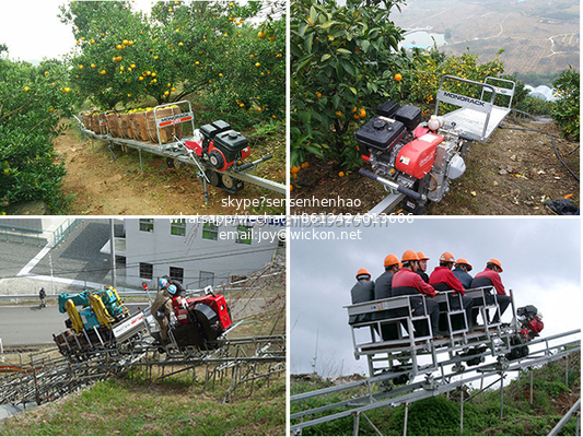 Mountain monorail gasoline transport vehicle Tea Garden Monorail truck supplier