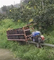 petrol vineyard transporter slope mountain monorail rail transporter supplier