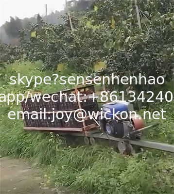 Meraif high quality self-propelled orchard steep slope monorail rail transporter supplier