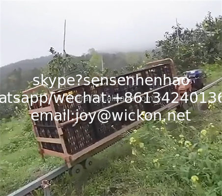Meraif high quality self-propelled orchard steep slope monorail rail transporter supplier
