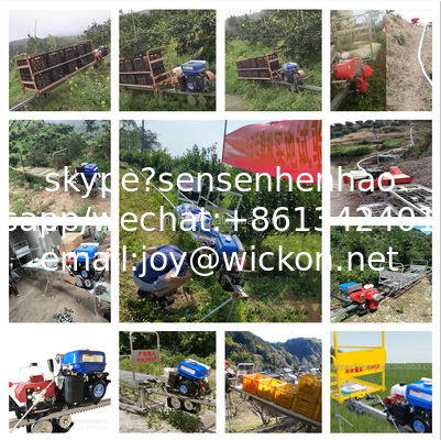 wholesale factory price farm monorail transporter  mountain Self-propelled orchard monorail transporter supplier