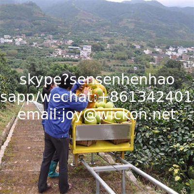 Farm engineering transporter Agricultural Loading Climbing Track Transporter supplier