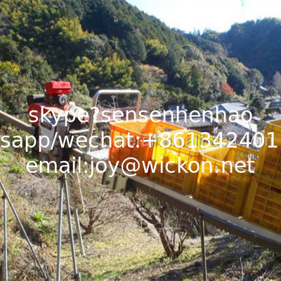 agricultural hill monorail rail transporter Agricultural Rail Transport Machinery Rail Orchard Transport supplier