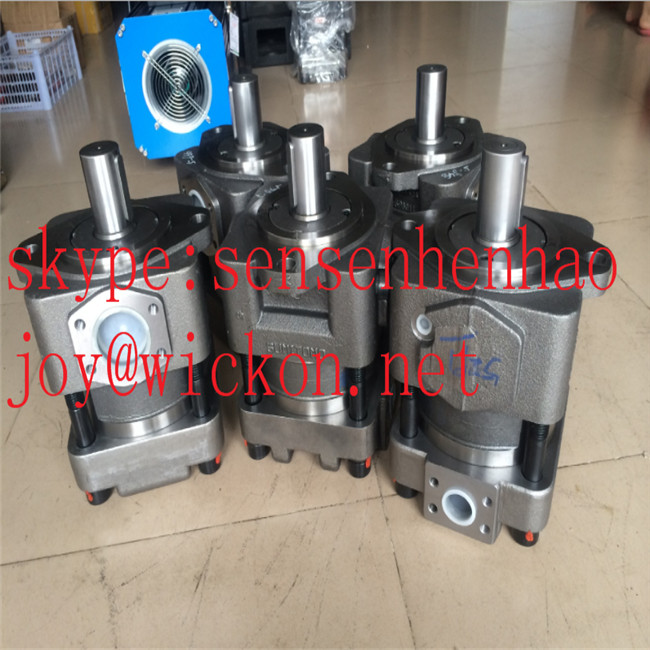 Sumitomo QT62 Hydraulic Rotary Gear Pump for servo system